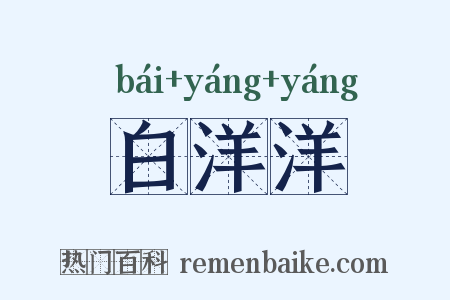 白洋洋是什么意思的图片